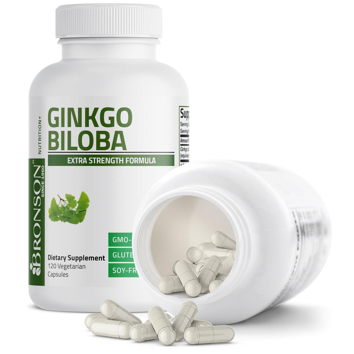 Ginkgo Biloba - 500 mg