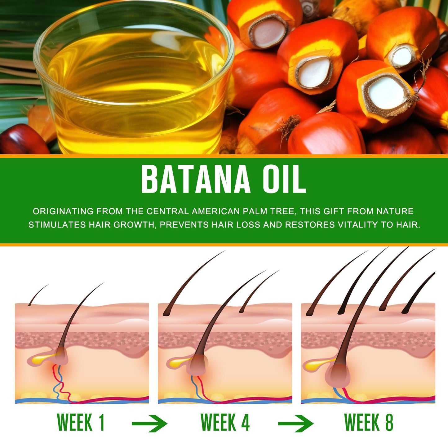 Aceite de Batana 100% puro y natural de Honduras para el crecimiento del cabello